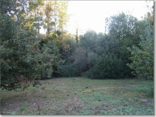 sized IMG 3240